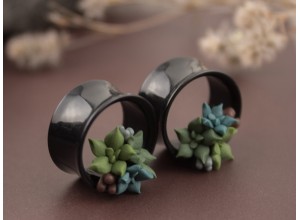 Tiny succulents tunnels green 10-25mm