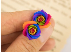 Rainbow rose ear plugs 3-20mm