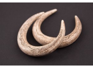 Ancient horn gauge earrings 5-14mm