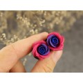 Rose ear plugs for stretched earlobes Bisexual Pride Flag LGBTQ+ jewelry Floral tunnels Handmade